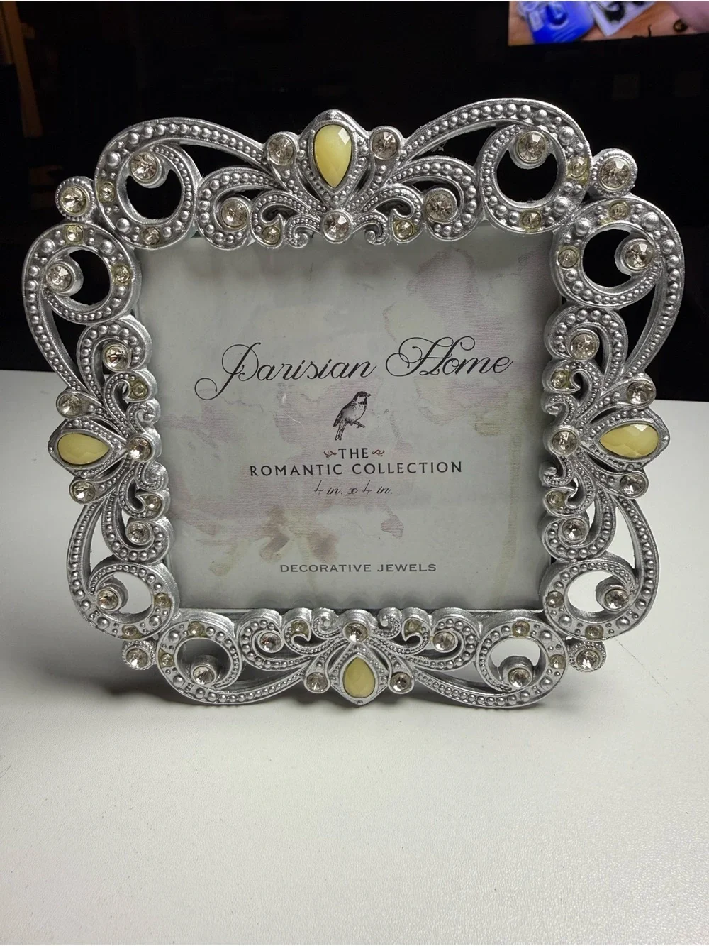 Parisian Works Silver Picture Frame with Cream Accents